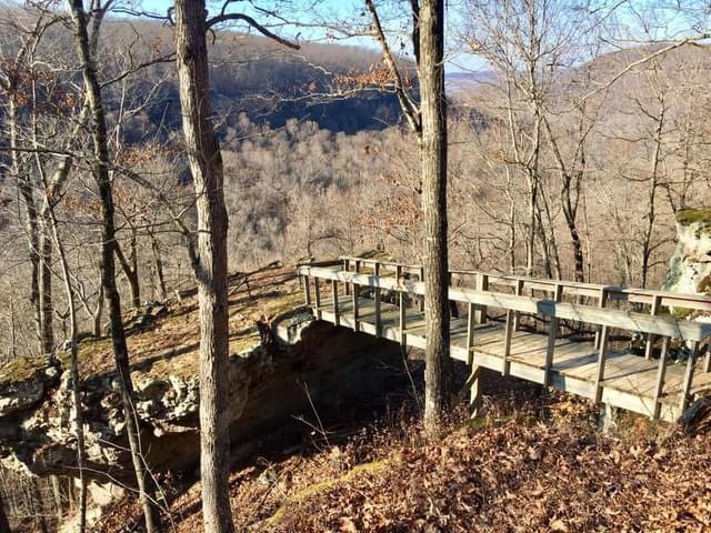 Outlaw Hollow Hideout nestled in forest